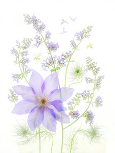  作： Fangping Zhou