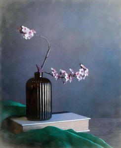  作： Fangping Zhou