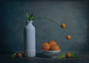 「ムーディ・シトラス」の静物画