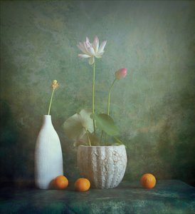  作： Fangping Zhou