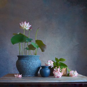穏やかな蓮の静物画