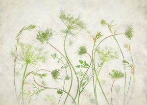  作： Fangping Zhou