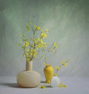  作： Fangping Zhou