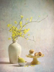 黄色いレンギョウの喜び 作： Fangping Zhou