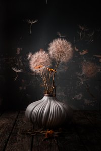  作： 