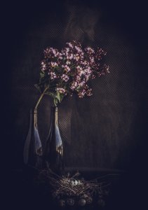  作： 