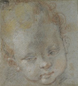 Recto：子供の頭（青灰色の紙に黒、赤、白、ピンク、黄色のチョーク） 作： Federico Barocci