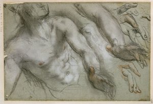  作： Federico Barocci