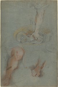 「最後の晩餐」における使用人の習作 作： Federico Barocci
