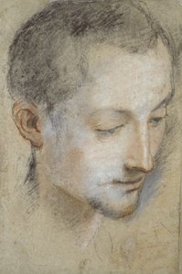 青年の頭の研究（灰色がかった紙の黒、赤、ピンクのチョーク） 作： Federico Barocci