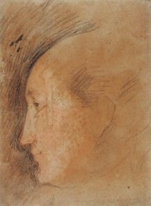 左の横顔の女性の頭 作： Federico Barocci