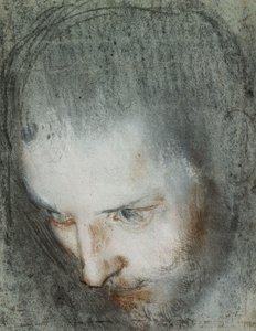 左上向きの聖フランシスの頭、 作： Federico Fiori Barocci or Baroccio