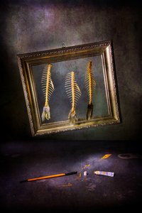  作： Felice Angelino