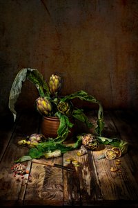  作： Felice Angelino