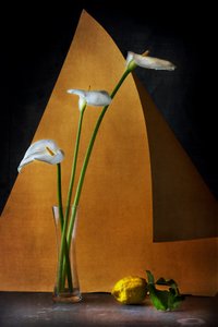  作： Felice Angelino