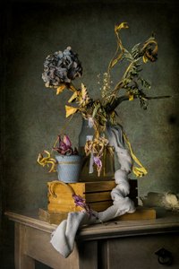  作： Felice Angelino