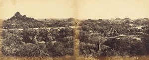 1860 年 10 月 29 日、1860 年 10 月 29 日。 作： Felice Beato