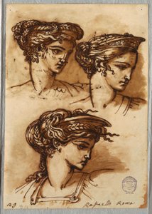 ラファエロの後の王冠と編んだ髪の頭の 3 つの習作 作： Felice Giani