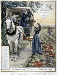 イチゴ狩り - Myrbach著、カレンダー「The Beautiful Planter」、1898年6月号 作： Felicien baron de Myrbach Rheinfeld