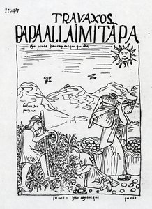6月、ジャガイモの収穫 作： Felipe Huaman Poma de Ayala