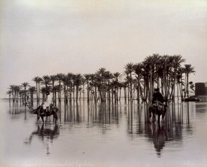 ナイル川が氾濫するエジプトの砂漠地帯をラクダに乗って横断する男性たち（エジプト 作： Félix Bonfils