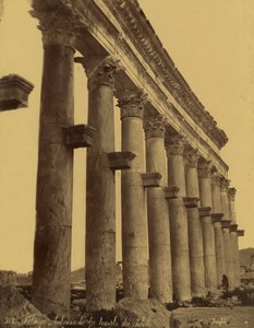 シリア・パルミラの太陽神の神殿の柱廊の跡 作： Félix Bonfils
