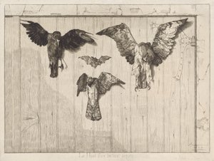 納屋のドアに釘付けされた鳥 作： Felix Bracquemond