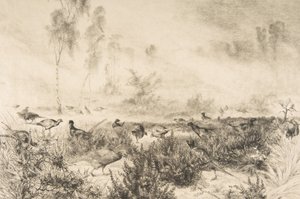 朝靄、1882年。 作： Felix Bracquemond