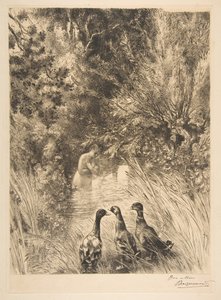 アヒルは驚いた、1882年。 作： Felix Bracquemond