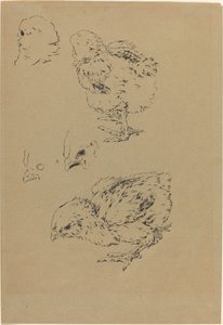 ひよこ 作： Felix Bracquemond