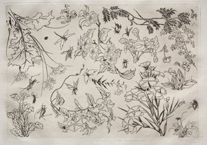 ディナーサービス（ルソーサービス）：花（22番） 作： Felix Bracquemond