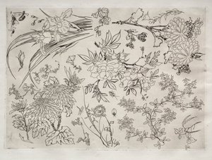 ディナーサービス（ルソーサービス）：花（23番） 作： Felix Bracquemond