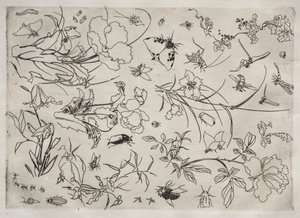 ディナーサービス（ルソーサービス）：花と昆虫（15番）