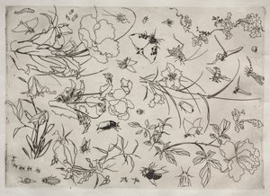 ディナーサービスルソーサービス：花と昆虫いいえ。 1866年。