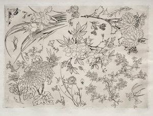 ディナーサービスルソーサービス：花なし。 23、1866。 作： Felix Bracquemond