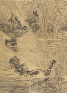 ダック・フロリック、1850-1914。