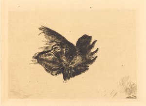 コックの頭 作： Felix Bracquemond