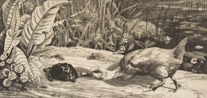 不明、1862年。 作： Felix Bracquemond