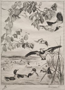 Lapwings and Teals、1862。 作： Felix Bracquemond