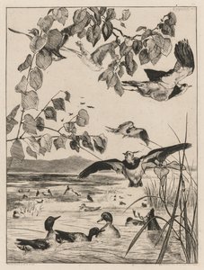 Lapwings and Teals、1862。 作： Felix Bracquemond