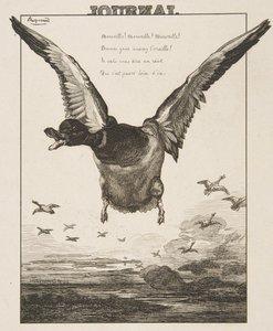 アヒル、1856年。 作： Felix Bracquemond