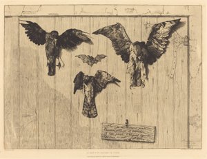 ドアの葉の上部 (Birds Nailed to a Barn Door) 作： Felix Bracquemond