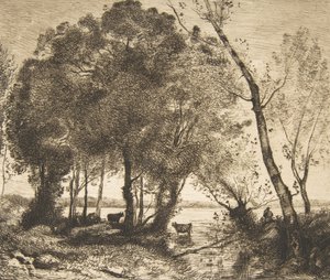 湖、1861年。 作： Felix Bracquemond