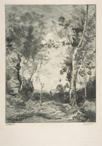 ホワイトホース、1858年。 作： Felix Bracquemond