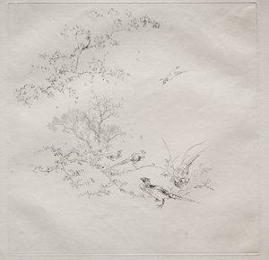 Parisian Service (ハビランド サービス): Fog (1 番)