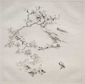 Parisian Service (Haviland service): 夜 (no. 7) 作： Felix Bracquemond