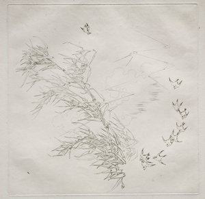 Parisian Service (ハビランド サービス): The Storm (no. 8)
