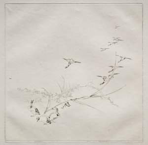 Parisian Service Haviland service：太陽の下で。 1875年9月。 作： Felix Bracquemond