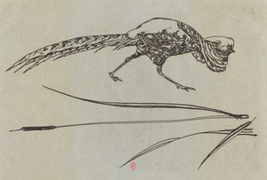 キジ 作： Felix Bracquemond