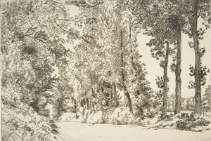 ブリュイエール通り、セーヴル、1868年。 作： Felix Bracquemond